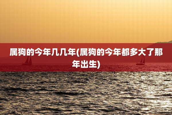 属狗的今年几几年(属狗的今年都多大了那年出生)