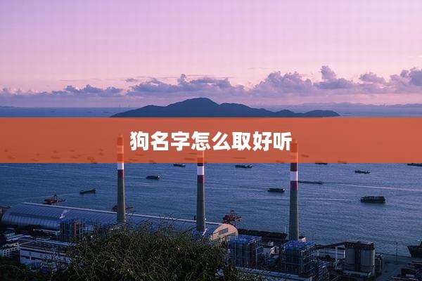 狗名字怎么取好听