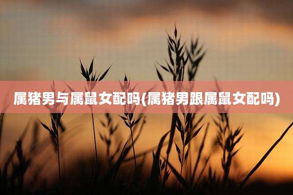 属猪男与属鼠女配吗(属猪男跟属鼠女配吗)