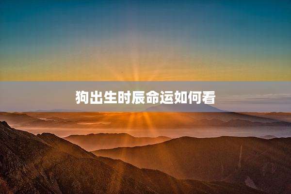 狗出生时辰命运如何看