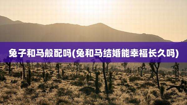 兔子和马般配吗(兔和马结婚能幸福长久吗)