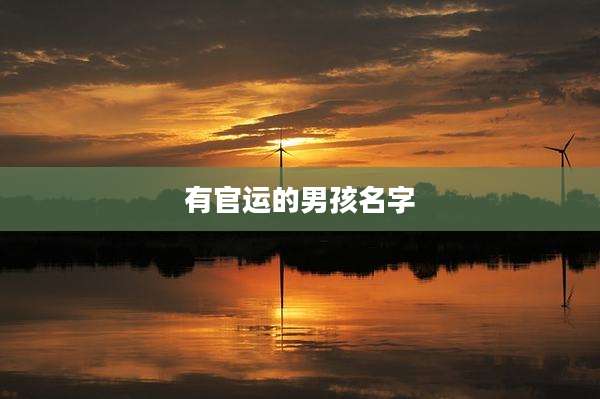 有官运的男孩名字