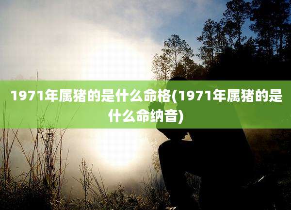 1971年属猪的是什么命格(1971年属猪的是什么命纳音)