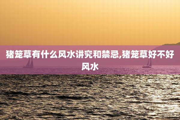 猪笼草有什么风水讲究和禁忌,猪笼草好不好风水