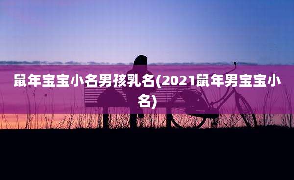鼠年宝宝小名男孩乳名(2021鼠年男宝宝小名)