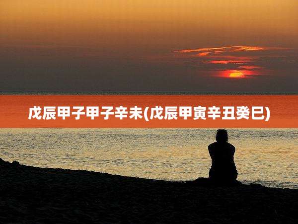 戊辰甲子甲子辛未(戊辰甲寅辛丑癸巳)