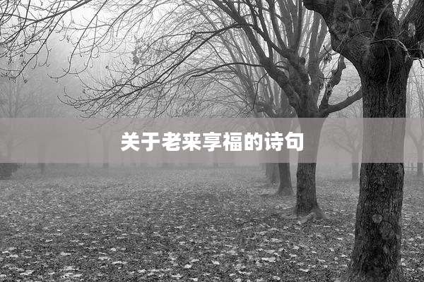 关于老来享福的诗句
