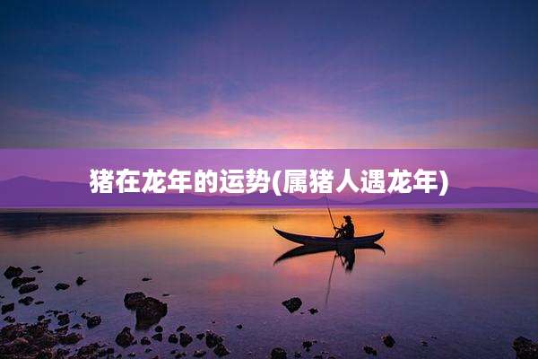 猪在龙年的运势(属猪人遇龙年)