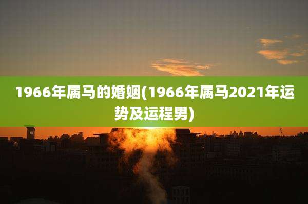 1966年属马的婚姻(1966年属马2021年运势及运程男)