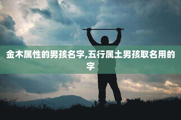 金木属性的男孩名字,五行属土男孩取名用的字