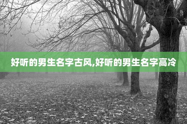 好听的男生名字古风,好听的男生名字高冷