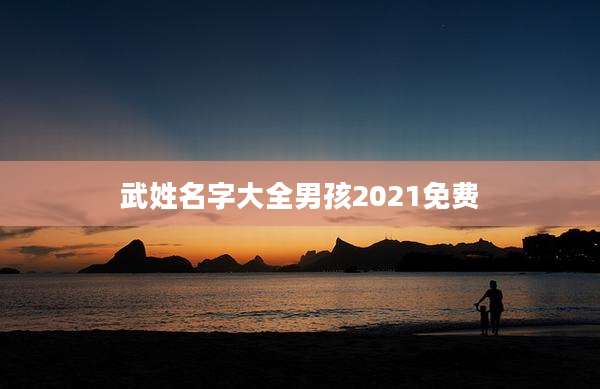 武姓名字大全男孩2021免费