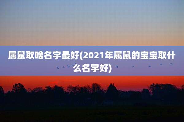 属鼠取啥名字最好(2021年属鼠的宝宝取什么名字好)