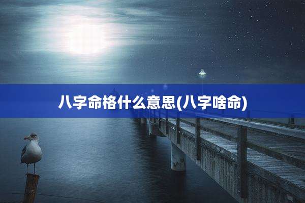 八字命格什么意思(八字啥命)