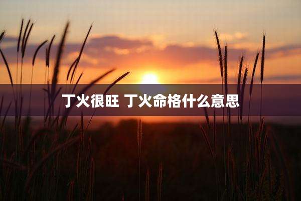 丁火很旺 丁火命格什么意思