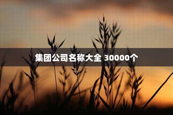 集团公司名称大全 30000个