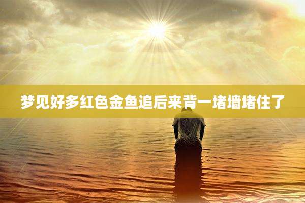 梦见好多红色金鱼追后来背一堵墙堵住了