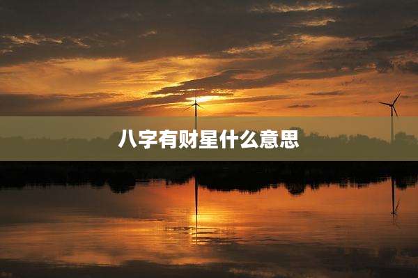 八字有财星什么意思