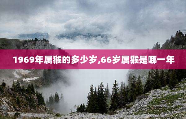 1969年属猴的多少岁,66岁属猴是哪一年