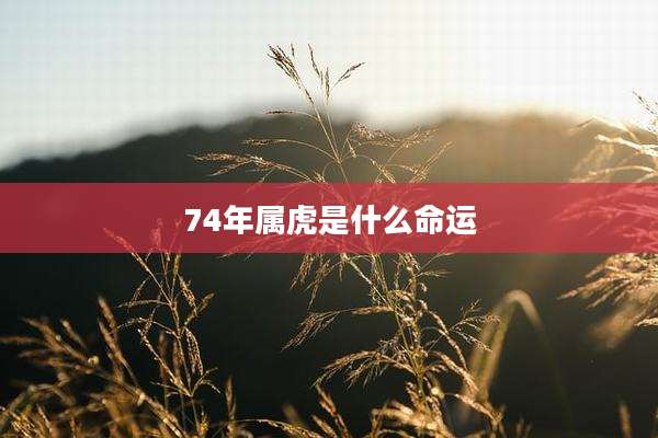 74年属虎是什么命运