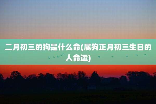 二月初三的狗是什么命(属狗正月初三生日的人命运)