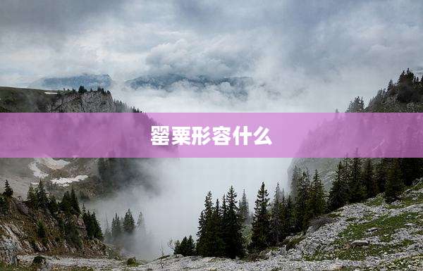 罂粟形容什么