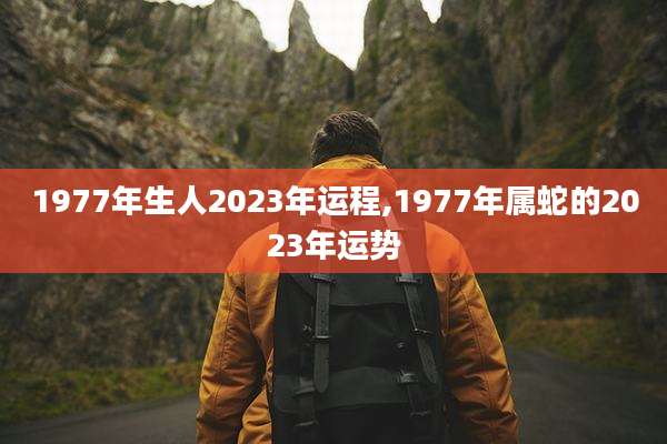 1977年生人2023年运程,1977年属蛇的2023年运势