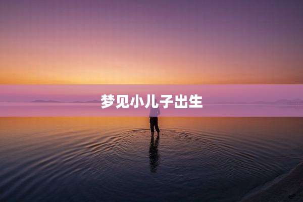 梦见小儿子出生