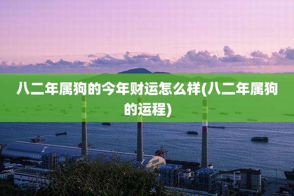 八二年属狗的今年财运怎么样(八二年属狗的运程)