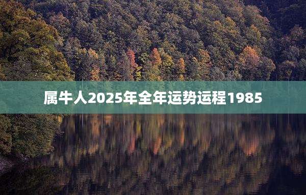 属牛人2025年全年运势运程1985