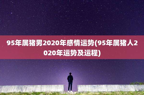95年属猪男2020年感情运势(95年属猪人2020年运势及运程)