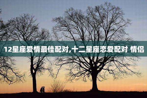 12星座爱情最佳配对,十二星座恋爱配对 情侣