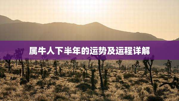 属牛人下半年的运势及运程详解