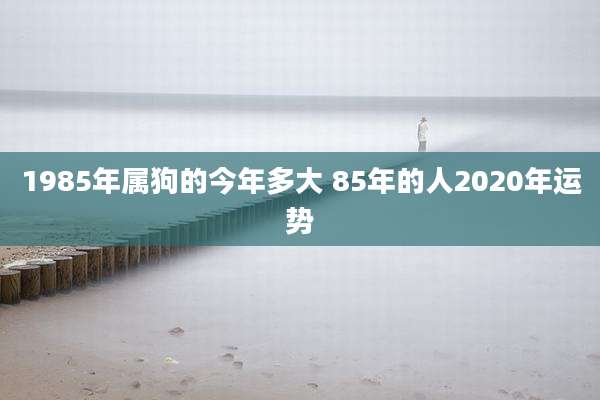1985年属狗的今年多大 85年的人2020年运势