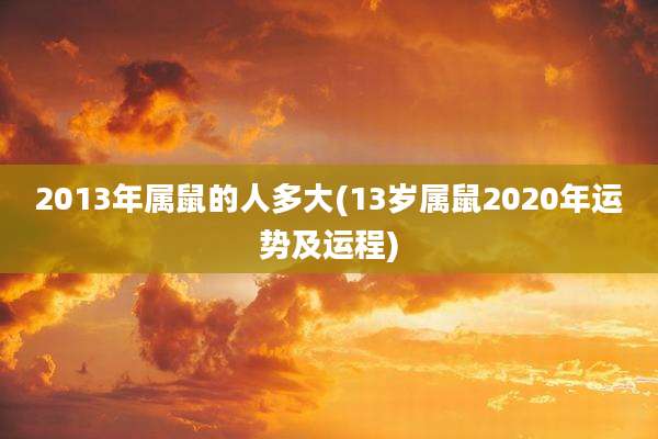2013年属鼠的人多大(13岁属鼠2020年运势及运程)