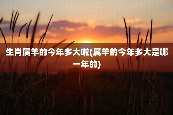 生肖属羊的今年多大啦(属羊的今年多大是哪一年的)