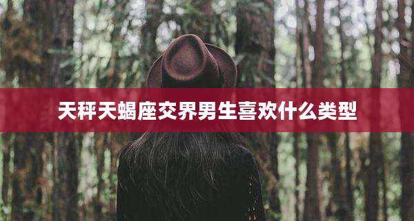 天秤天蝎座交界男生喜欢什么类型