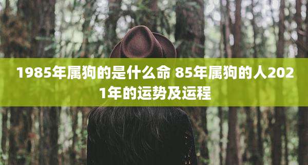 1985年属狗的是什么命 85年属狗的人2021年的运势及运程