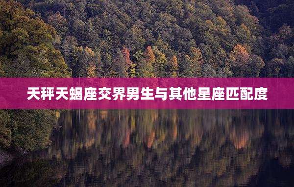 天秤天蝎座交界男生与其他星座匹配度