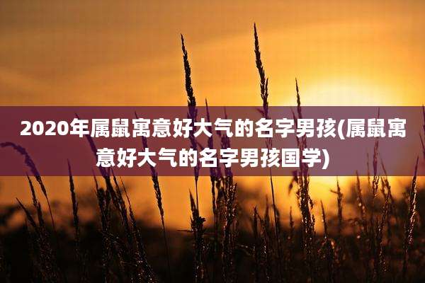 2020年属鼠寓意好大气的名字男孩(属鼠寓意好大气的名字男孩国学)