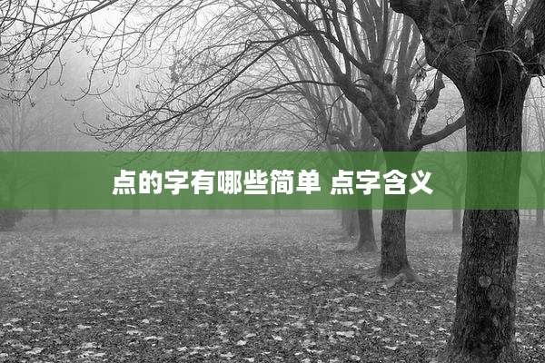 点的字有哪些简单 点字含义