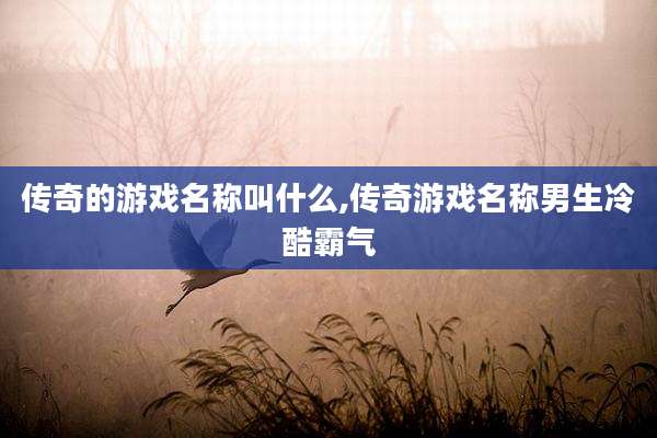 传奇的游戏名称叫什么,传奇游戏名称男生冷酷霸气