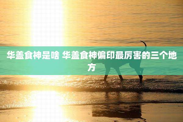 华盖食神是啥 华盖食神偏印最厉害的三个地方