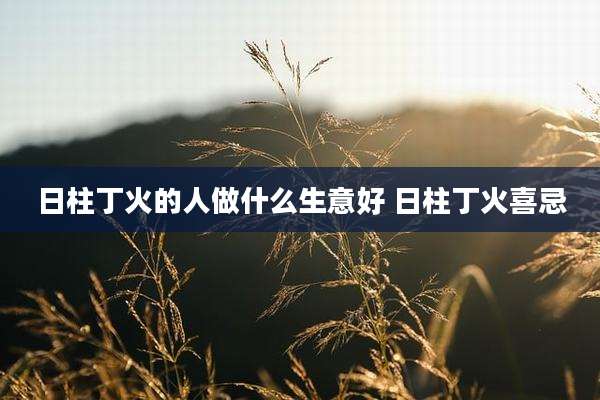 日柱丁火的人做什么生意好 日柱丁火喜忌