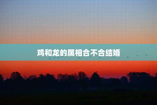 鸡和龙的属相合不合结婚