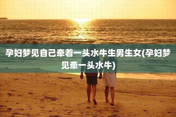 孕妇梦见自己牵着一头水牛生男生女(孕妇梦见牵一头水牛)