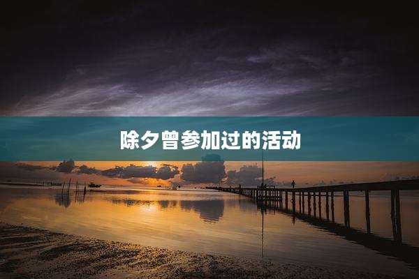 除夕曾参加过的活动