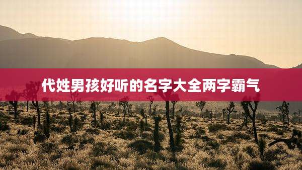 代姓男孩好听的名字大全两字霸气