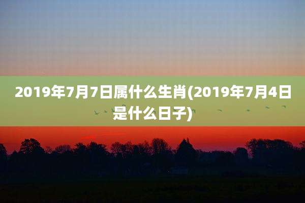 2019年7月7日属什么生肖(2019年7月4日是什么日子)