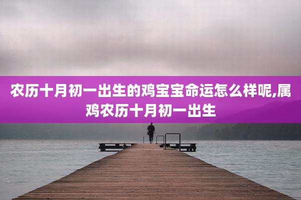 农历十月初一出生的鸡宝宝命运怎么样呢,属鸡农历十月初一出生